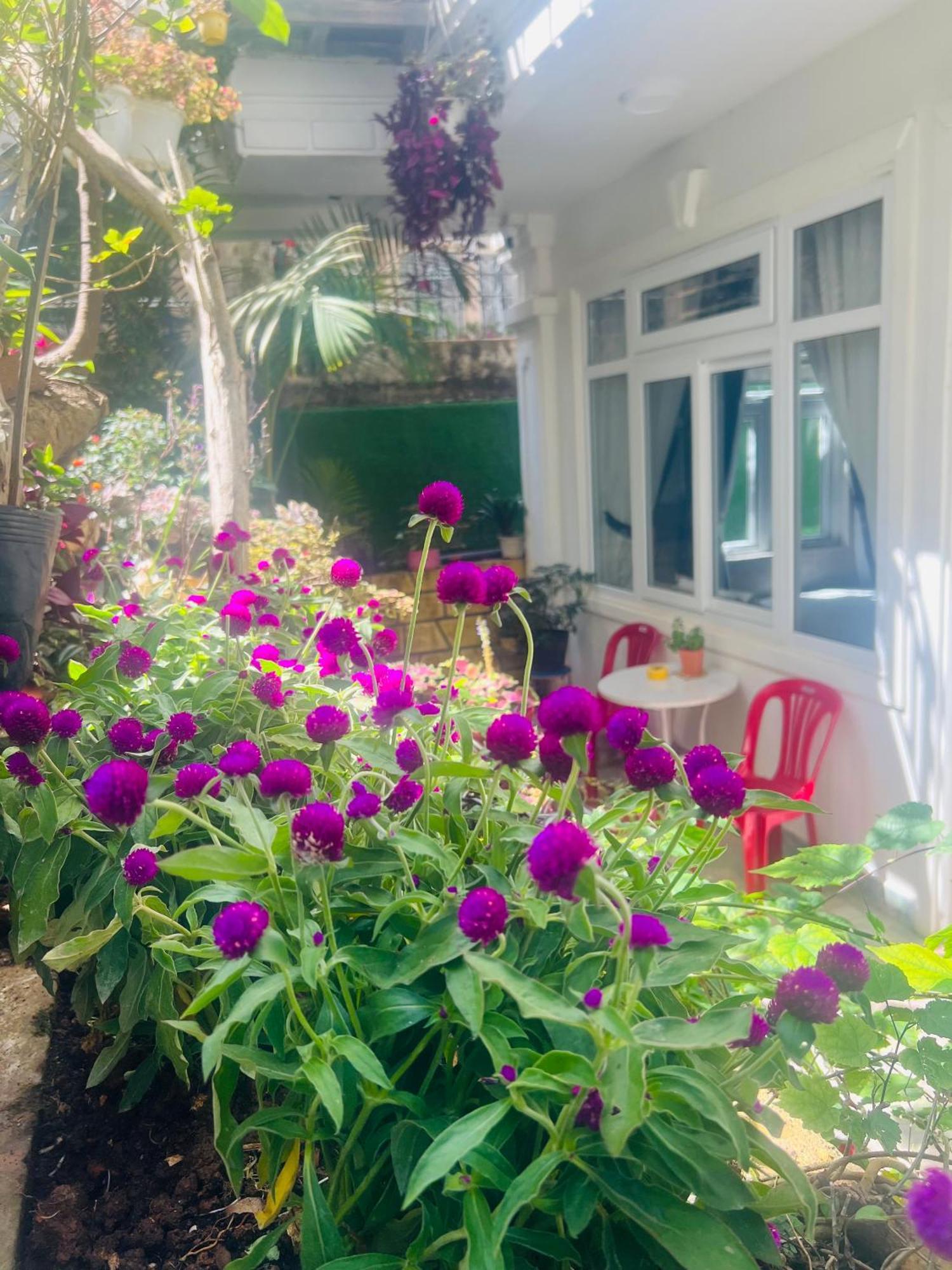 Villa - Hotel Nam Khang 2 Dalat Kültér fotó