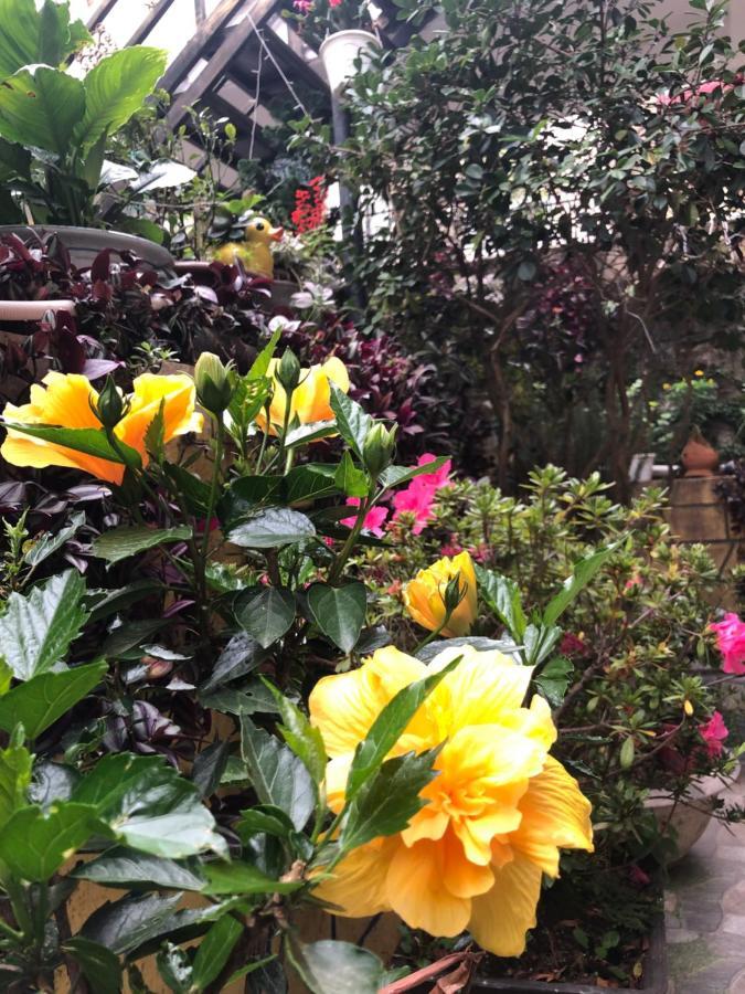 Villa - Hotel Nam Khang 2 Dalat Kültér fotó